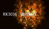 RK3036：高效能雙核處理器詳解