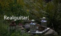 Realguitar(關(guān)于Realguitar簡述)