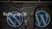 Reflexion(關于Reflexion簡述)