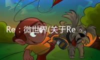 Re：微世界(關(guān)于Re：微世界簡(jiǎn)述)