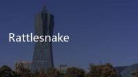 Rattlesnake(關(guān)于Rattlesnake簡(jiǎn)述)