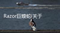 Razor巨蝮蛇(關于Razor巨蝮蛇簡述)