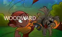 WOODWARD   9907