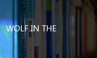 WOLF IN THE HOUSE漫畫23話免費觀看 WOLF IN THE HOUSE漫畫完整內容在線看