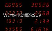 WEY純電動概念SUV預告圖發布 北京車展亮相