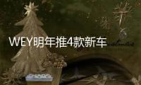 WEY明年推4款新車 預(yù)計銷量超25萬輛