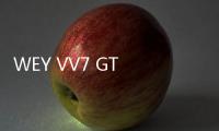 WEY VV7 GT PRO申報圖曝光 黑武士風格