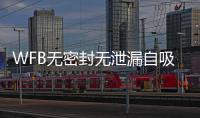 WFB無密封無泄漏自吸泵(關于WFB無密封無泄漏自吸泵簡述)