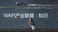 WAPI產(chǎn)業(yè)聯(lián)盟：知識(shí)產(chǎn)權(quán)在中國獲充分保護(hù) 為中外創(chuàng)新企業(yè)帶來更強(qiáng)信心