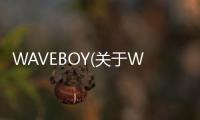 WAVEBOY(關于WAVEBOY簡述)