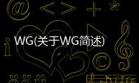 WG(關(guān)于WG簡述)