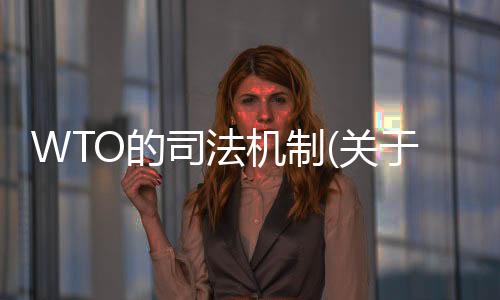WTO的司法機(jī)制(關(guān)于WTO的司法機(jī)制簡述)