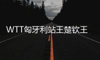 WTT匈牙利站王楚欽王曼昱絕地反撲 連扳三局奪冠