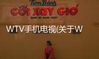 WTV手機電視(關于WTV手機電視簡述)
