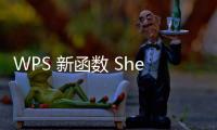 WPS 新函數(shù) Sheetsname 快速生成自動(dòng)更新的入庫(kù)表