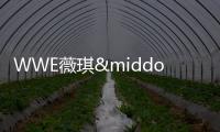 WWE薇琪·格雷羅回憶亡夫艾迪去世：有件事很懊悔 班瓦比我還難過