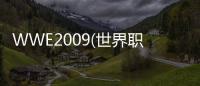 WWE2009(世界職業摔跤2009)游戲介紹（WWE2009(世界職業摔跤2009)）