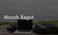 Woods Bagot在廣州南航城設計競賽中獲勝（組圖）