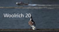 Woolrich 2021 春夏系列 Lookbook 賞析，新極簡(jiǎn)主義概念