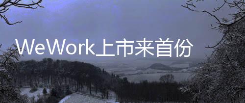 WeWork上市來首份財報：三季度營收6.61億美元 凈虧損8億美元