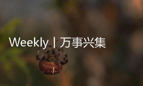 Weekly丨萬事興集成灶廚房設計鑒賞——中島臺設計