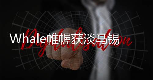 Whale帷幄獲淡馬錫領(lǐng)投的B輪5000萬美元融資