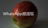 WhatsApp頻道現在允許所有者發送語音消息