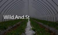 Wild.And.Strawberry