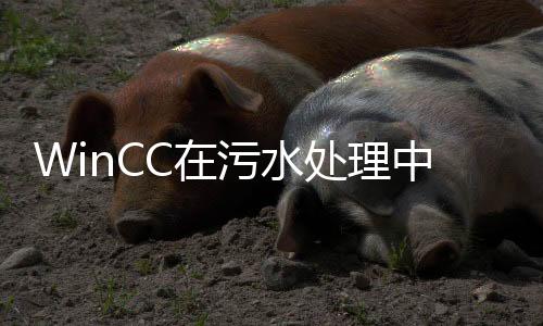 WinCC在污水處理中的應(yīng)用
