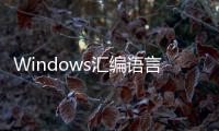 Windows匯編語言程序案例解析(關(guān)于Windows匯編語言程序案例解析簡述)