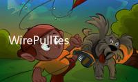 WirePullTesting 拉線測試(關于WirePullTesting 拉線測試簡述)