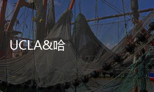 UCLA&哈工大合作Science:具備超級隔熱性能的陶瓷氣凝膠 – 材料牛