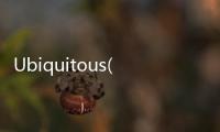 Ubiquitous(關于Ubiquitous簡述)