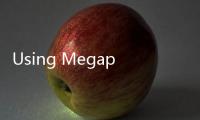 Using Megapersonals: How to use