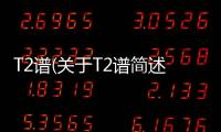 T2譜(關于T2譜簡述)