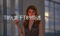 T89(關于T89簡述)