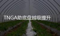 TNGA助底盤越級提升 試駕豐田雷凌雙擎