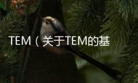 TEM（關于TEM的基本情況說明介紹）