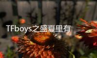TFboys之盛夏里有你(關(guān)于TFboys之盛夏里有你簡述)
