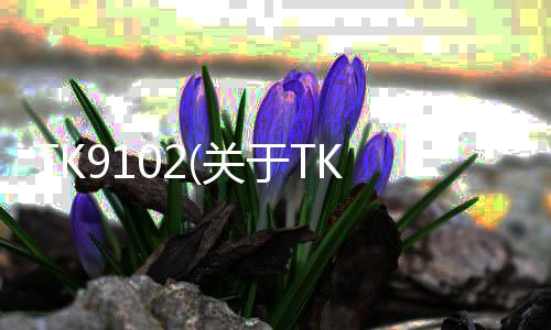 TK9102(關于TK9102簡述)