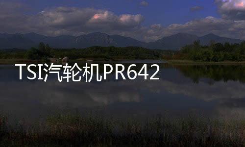 TSI汽輪機PR6424/010