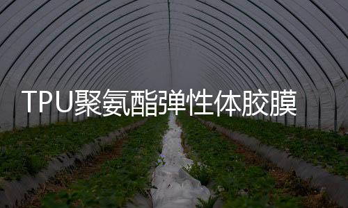TPU聚氨酯彈性體膠膜,企業(yè)新聞