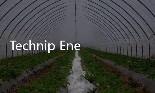 Technip Energies概述了埃及的SAF綠色氫能計劃