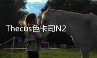 Thecus色卡司N2200EVONAS網路儲存伺服器年前再度限量下殺