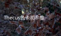 Thecus色卡司?推出最新的WDRed?硬碟相容性列表