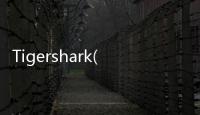 Tigershark(關于Tigershark簡述)