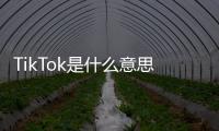 TikTok是什么意思?（tiktok中文什么意思）