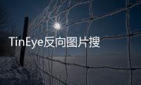 TinEye反向圖片搜索引擎（tineye）