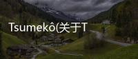 Tsumek?(關于Tsumek?簡述)