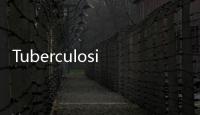 Tuberculosis(關(guān)于Tuberculosis簡述)